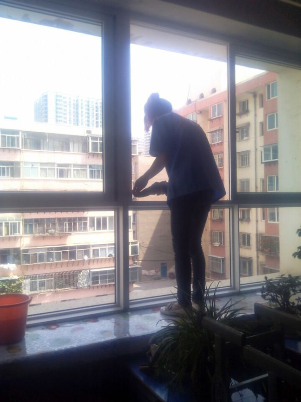兰化一中教学楼擦玻璃