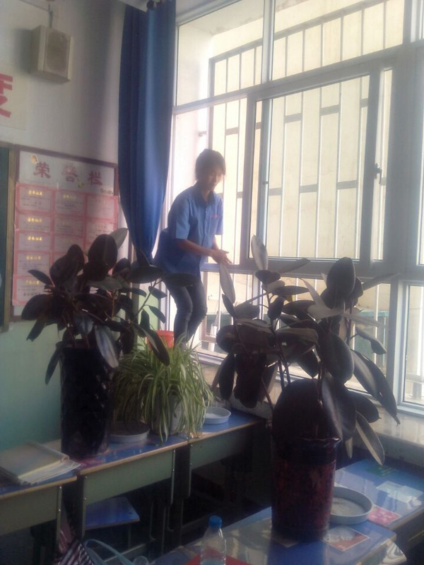 兰化一中教学楼擦玻璃​